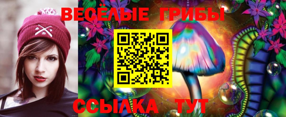 где найти   Псилоцибиновые грибы GOLDEN TEACHER  Вход с VPN  Тавда  Галлюциногенные грибы GOLDEN TEACHER 
